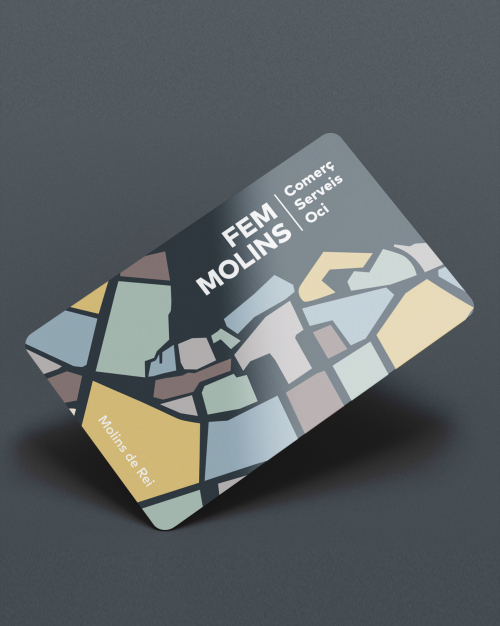 QUÈ ÉS FEM MOLINS?